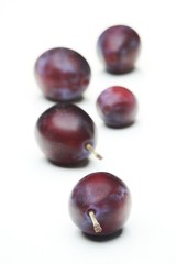 Plums on white bacground - close-up