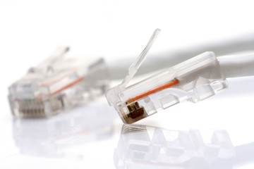 Network cable on white background