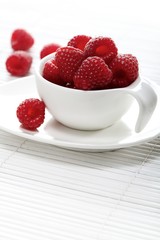 Raspberries in white cup - studio shot