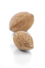 Almond in shell on white background