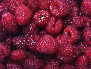 Raspberries background - cloae-up