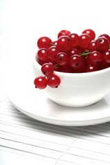 Red currants in white cup