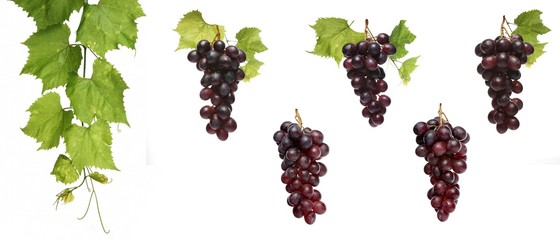 Grapes on white background - close-up