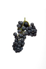 Grapes on white background - close-up
