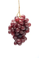 Red grapes on white background