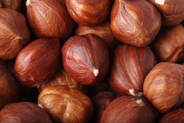 Huzelnits on white background - close-up