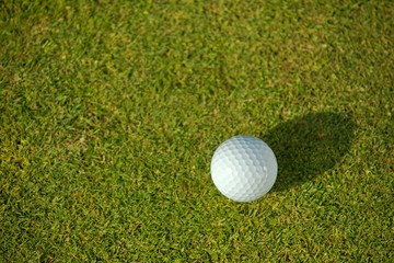 Elevated view of golf ball on grass