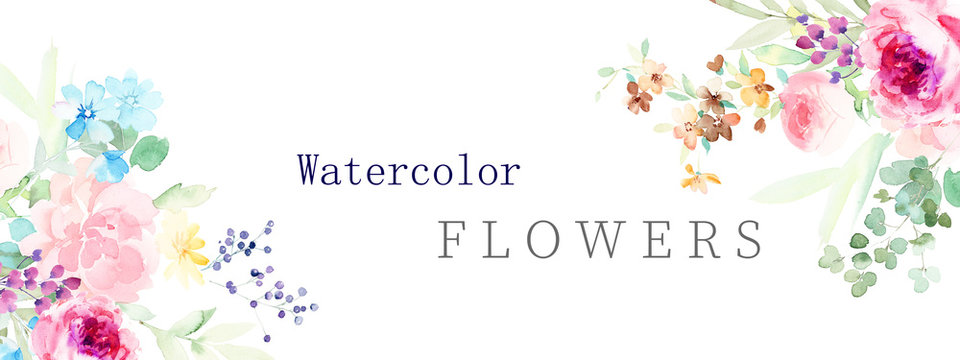  watercolor flower illustration