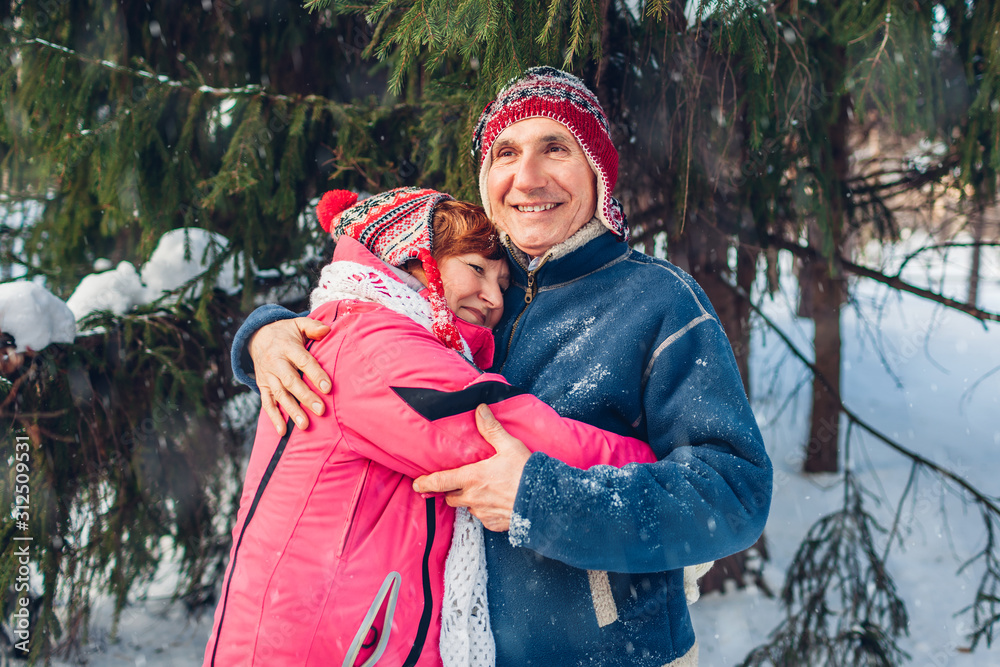 Wall mural Valentine's Day. Senior family couple hugging in winter forest. Happy man and woman walking outdoors.