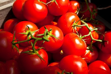 Close up of tomatoes