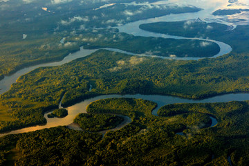 River in tropic Costa Rica, Corcovado NP. Lakes and rivers, view from airplane. Green grass in Central America. Trees with water in rainy season. Photo from air. - obrazy, fototapety, plakaty