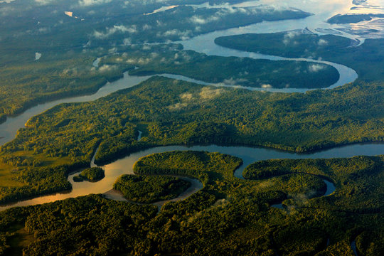 River in tropic Costa Rica, Corcovado NP. Lakes and rivers, view from airplane. Green grass in Central America. Trees with water in rainy season. Photo from air.