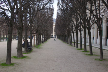 alley in the park