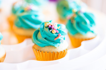 Vanilla cupcakes