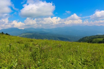 Fototapeta premium 【日本】長野ビーナスライン