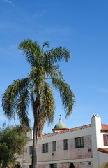 Fototapeta na wymiar Old Plaster Building and Palm Tree