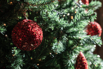 Red Ball on a Christmas Tree