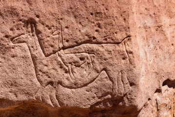 Petroglyph at Yerba Buenas near San Pedro de Atacama in Chile