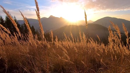 Colorful peaceful sunset over autumn mountains nature with dry grass in foreground
