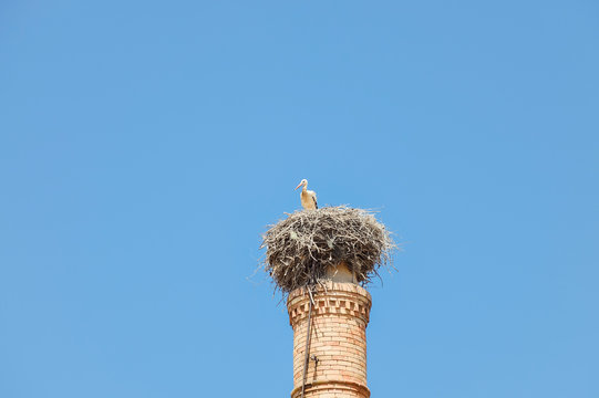 A stork has made its nest on a chimney