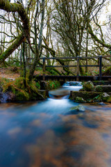 river in the forest long exposure