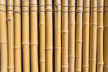 Yellow dried bamboo sticks pattern background full frame view