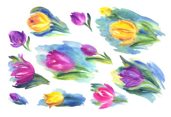 Fototapeta na wymiar Set of abstract tulips, watercolor illustration on a white background, isolated. Collection of floral clipart for cards, backgrounds, etc.