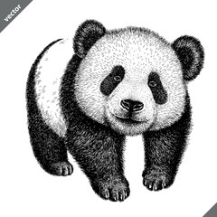 black and white engrave isolated panda vector illustration