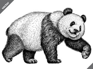 black and white engrave isolated panda vector illustration © Turaev