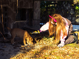 Little girl meeting abandoned golden puppy outdoors in winter willing to take him home and adopt