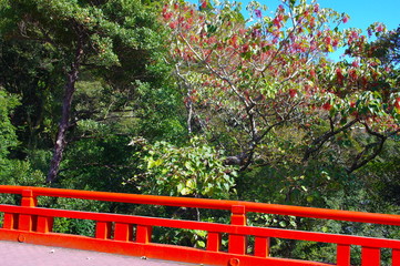 霧島神宮の麓の赤い橋