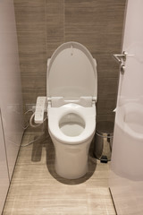 hygienic and high technology toilet