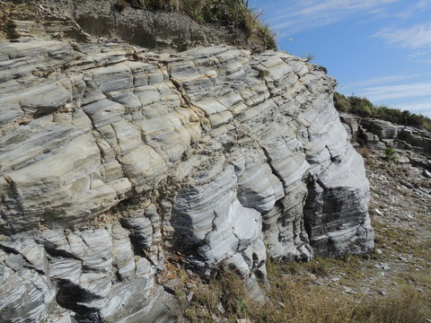 千枚岩 (Zamami island/Okinawa)
