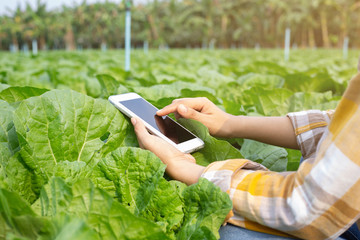 Agricultural innovations of farmers in Thailand.