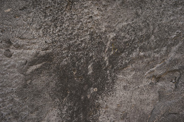 Background texture of asphalt. Hard old painted wall in grunge style. Grey surface for design and text. Close up view