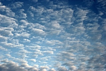 Altocumulus-Wolken im Winter