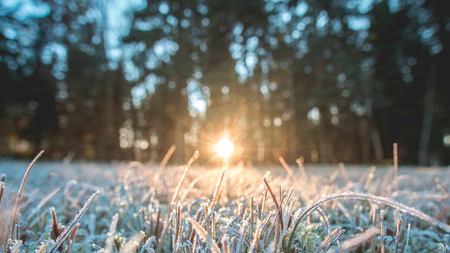 Im Krumbacher Moor  die letzten Minuten des winterlichen Tages eingefangen
