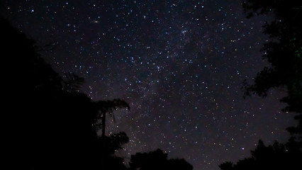 Fototapeta na wymiar Milky way at night