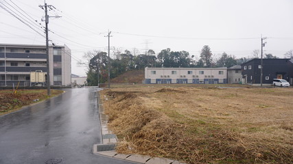 Fototapeta premium みかいたくのとち