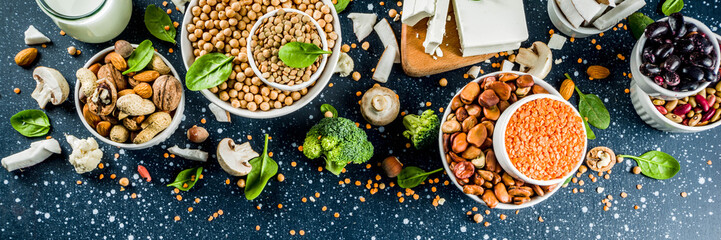 Vegan plant protein sources