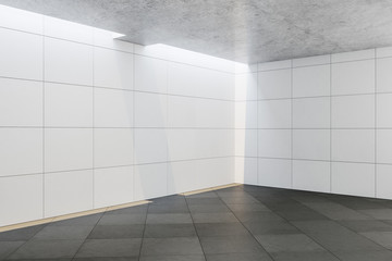 Modern white gallery interior