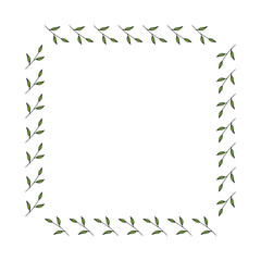 Square frame made of green branches with leaves. Vector on white for your design- 02