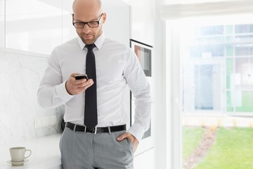 Fototapeta premium Mid adult businessman text messaging through smart phone at home