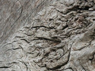 textures bois/metal/pierre/ ancien