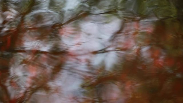 Rippled Tree Reflections