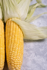 Fresh maize corn, close up, on gray background , vertical composition, close up