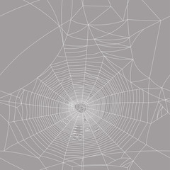  spider web seamless vector texture