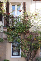 Fototapeta na wymiar Balkon,Rosen, Fasade