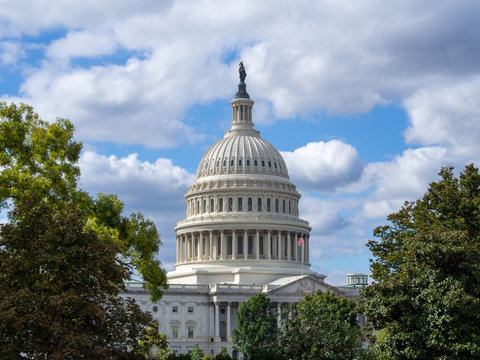Washington DC, District of Columbia [ United States US Capitol Building, architecture detail ]