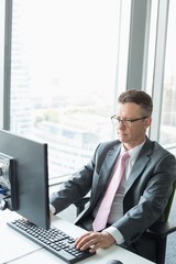 Mature businessman working on computer in office